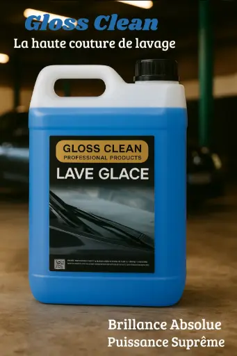 [LG-1]Bidons lave glace